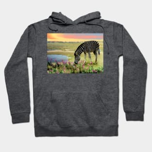 Sunset Zebra art. Wild African animals Hoodie